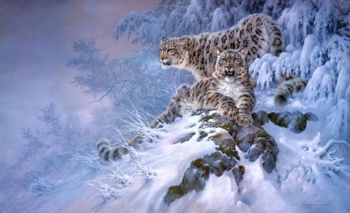 森林，艺术，雪豹，冬天，雪