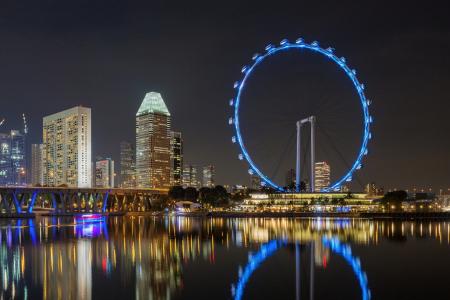 新加坡，城市，灯，照明，建筑，美容，车轮，夜晚，桥梁