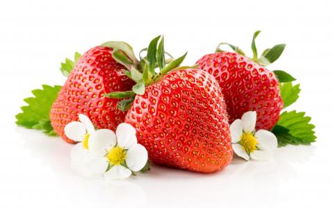 草莓，美味，浅色背景