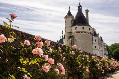 法国，城堡，美丽，法国的城堡