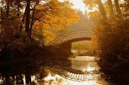 秋天，公园，溪流，桥