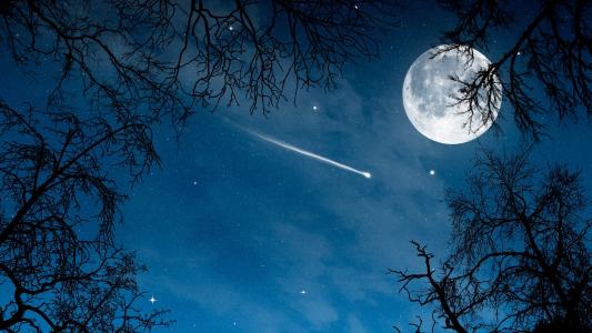 自然，树，天空，晚上，星星，月亮，彗星