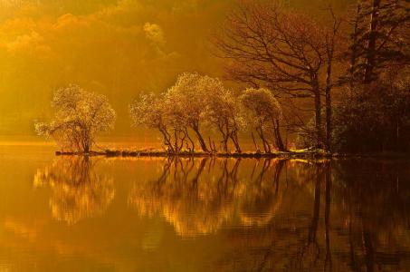 树，湖，水，秋季，美女，太阳，反思