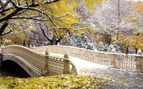 雪，桥，深秋