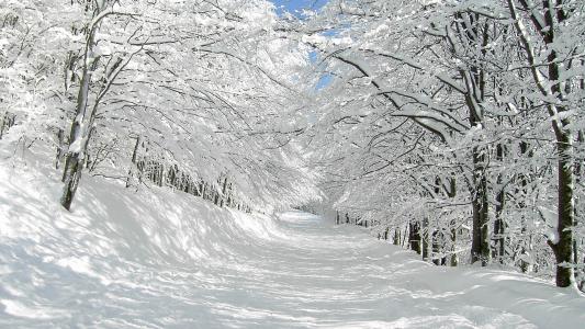 冬天，雪，路，美丽