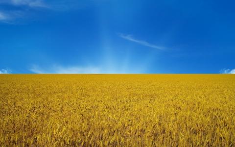 国旗，乌克兰，天空，领域
