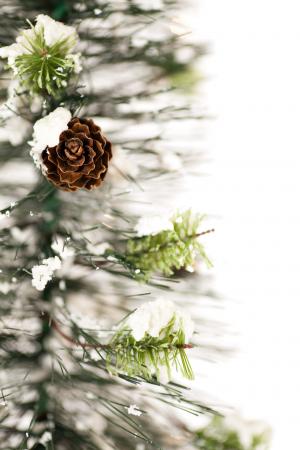 一个小小的凹凸，在一个装饰树上的雪