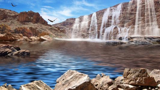瀑布，峡谷，水，石头，鸟类