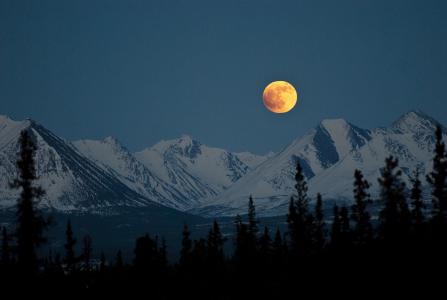 满月，山脉，夜晚，月亮，森林，雪景，美景