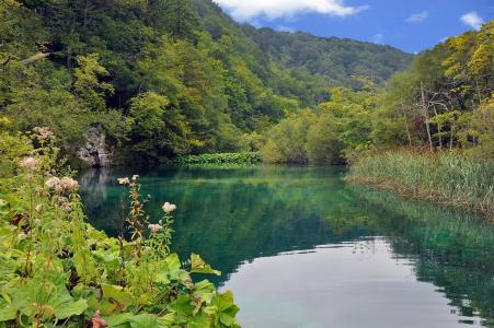 克罗地亚，十六湖，美丽，绿化，湖泊，森林