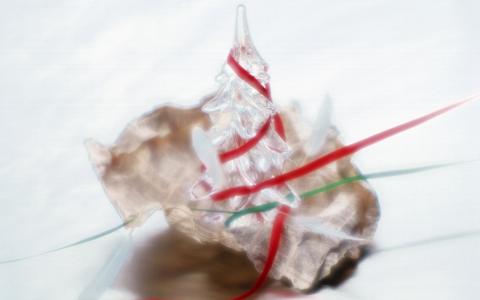 纸，水晶，新的一年，毛皮树，丝带