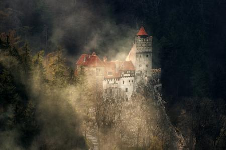 神秘的城堡，峡谷，雾，森林，由斯特凡Chirobocea