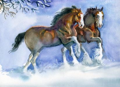 两匹马，雪，冬天