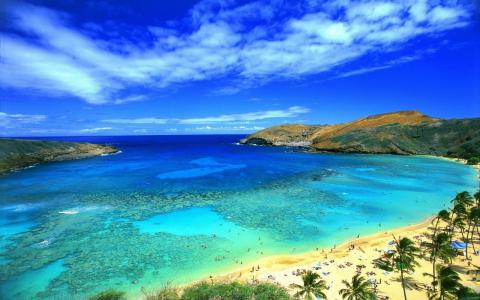 充满异国情调的夏日海滩，蓝色的天空，棕榈海岸，夏天，夏威夷