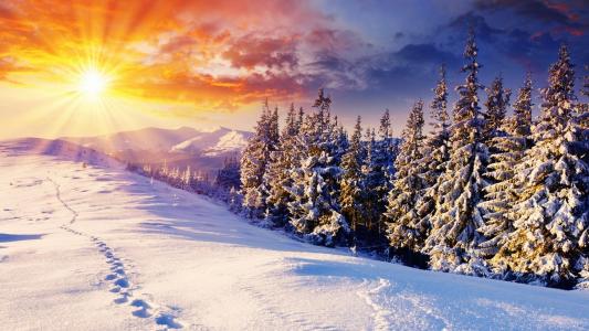 自然，山，太阳，冬天，森林，主题，美丽