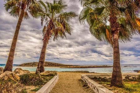 棕榈树，沙滩，大海，岛屿，塞浦路斯