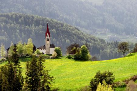 草，教堂，自然，森林，春天，山，房子