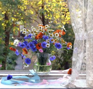 构图别致，静物，鲜花，花瓶，窗口，美女