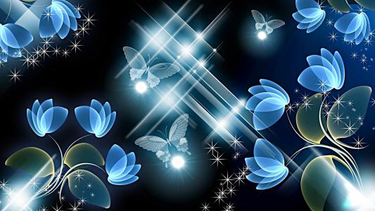 蝴蝶，花朵，光