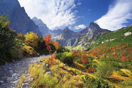 性质，秋季，山，超级照片，美丽，路径