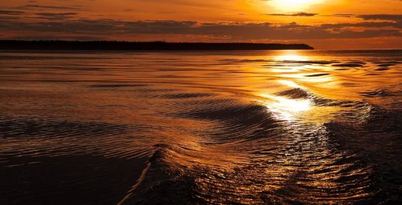 芬兰湾，南岸，白夜，金色的夕阳，尤里·切尔诺夫