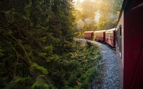 火车，森林，货车