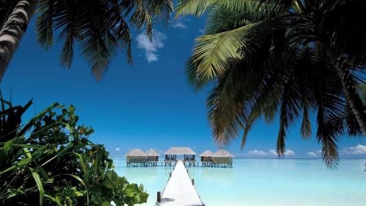 马尔代夫，沙滩，水，夏天，天空，岸，沙，海洋，桥，房屋，棕榈树