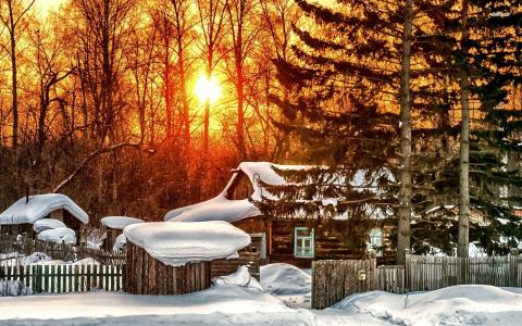 雪，房子，森林，树，阳光