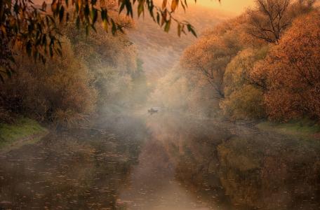 秋天，钓鱼，河，树，早晨，雾，美丽，自然，艺术，photoshop，工作，森林