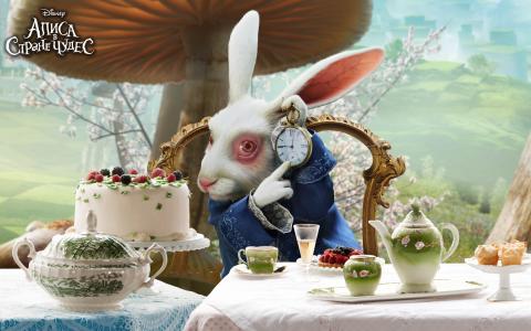 爱丽丝梦游仙境，茶话会，盛宴，兔子，怀表，时间滴滴答答