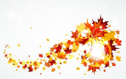 秋天，树叶，旋风