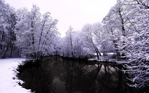 树，河，黑暗的水，冬天