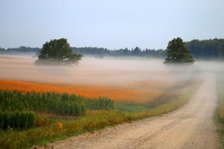 秋天，路，雾，Dzintra Zvagina