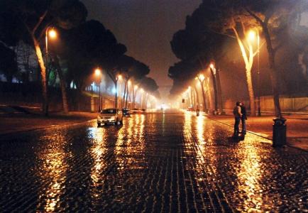 城市，雨，雪泥，树，灯，汽车，行人，秋天