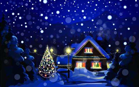 新年，圣诞节，新年，圣诞节，假期，自然，景观，雪，冬天，夜，家，毛皮树，毛皮树