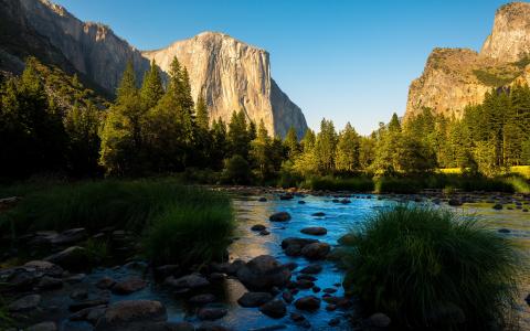 山谷，森林，优胜美地国家公园，加利福尼亚州，加利福尼亚州，内华达山脉，优胜美地国家公园