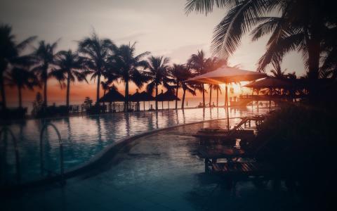 日落，照片，水，游泳池，海滩，天空，太阳，海，棕榈树