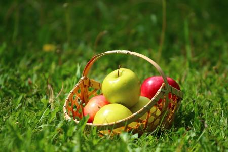 自然，夏天，草，篮子，水果，苹果