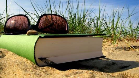草，沙，休息，书签，夏天，眼镜，书