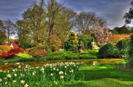 德国，汉堡，日本庭园，自然，公园，池塘，雕塑，植物，花卉