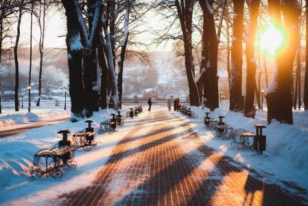 长凳，公园，冬天，俄罗斯，卡卢加
