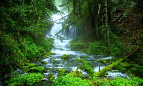 自然，山，森林，山区河流，美丽，超级照片