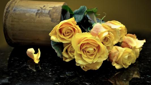 玫瑰，黄色，鲜花，花束