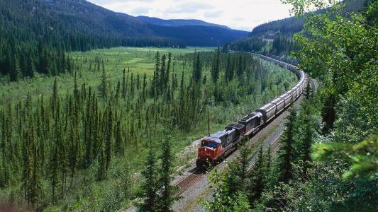 自然，火车，铁路，森林