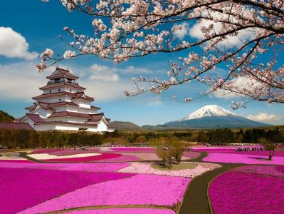 日本，富士山，春天，景观