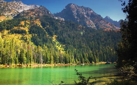 湖，山，钓鱼，美丽，森林，秋天