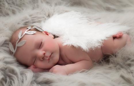 孩子，婴儿，婴儿，睡眠，翅膀，天使，花圈，毛皮
