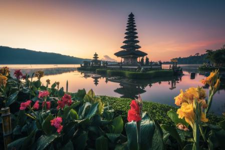 巴厘岛，自然，景观，湖泊，寺庙，植物，花卉