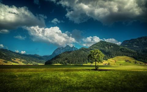 瑞士，夏天，村庄，山，草地
