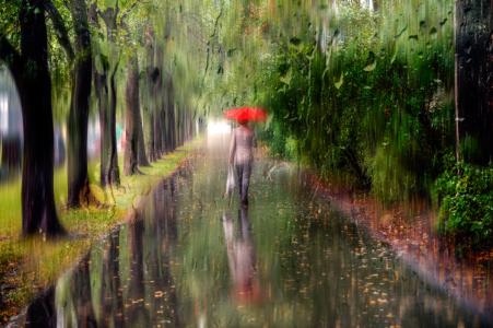 秋天，雨，玻璃，滴，街道，路人，雨伞